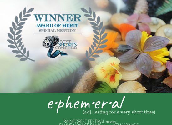 Ephemeral wins Best Shorts awards