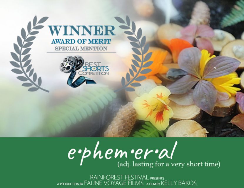Ephemeral wins Best Shorts awards