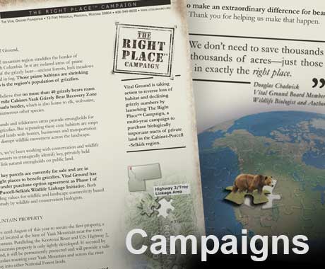 Campaigns