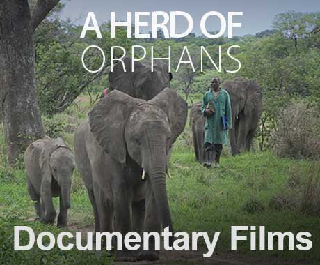 Documentary Films