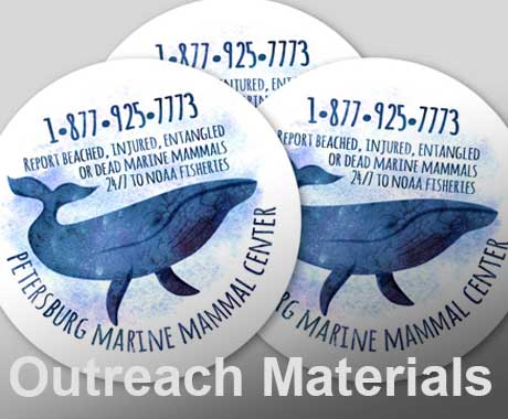Outreach Materials