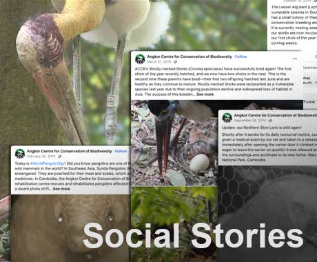 Social Stories